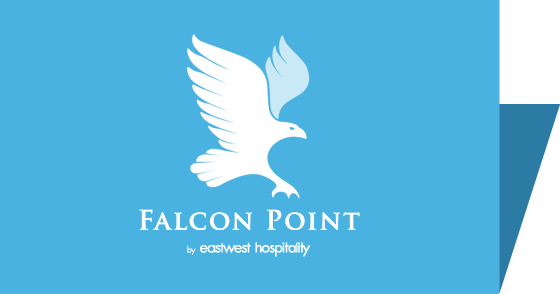 Falcon Point Retina Logo