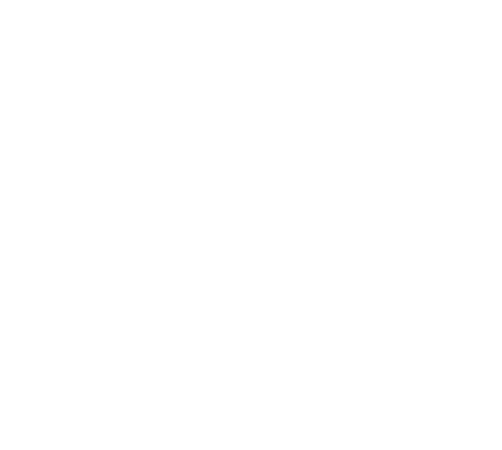 Falcon Point