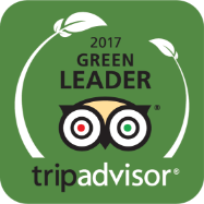 TripAdvisorGreen